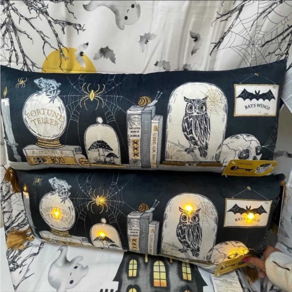 Halloween Themed Decorative Pillows set
